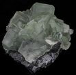 Cubic, Green Fluorite (Dodecahedral Edges) - (Special Price) #32415-4